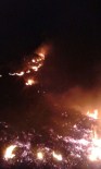 Cide'de Korkutan Orman Yangını
