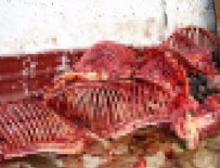 EGE MAHALLESİ - İzmir'de korkunç görüntü!