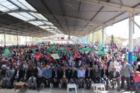 KUTLU DOĞUM - Ceylanpınar'da Kutlu Doğuma Davet