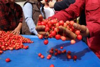 KİRAZ ÜRETİMİ - Kiraz Altını Solladı