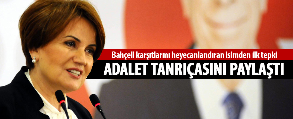Meral Akşener'den kayyum kararına ilk tepki