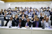 Pekdaş'tan AK Partili Meclis Üyelerine Tepki