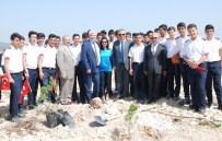 Silifke'de Bulunan Mermer Ocaklarına 44 Bin Fidan Dikildi