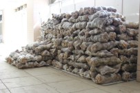 TAKVA - Van TSO'dan Yüksekovalı 400 Aileye Gıda Yardımı