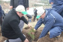 AGD'den Her Şehide Bir Fidan