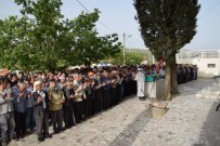 MEHMET GÖK - Aliağa'da Minibüsçü Esnafının Acı Günü