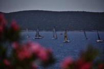 BODRUM KALESI - Bodrum Açıkları Şenlendi