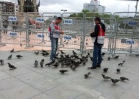 TAKSIM MEYDANı - Taksim Meydanı Güvercinlere Kaldı