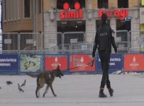 İLGİNÇ GÖRÜNTÜ - Taksim Meydanı'nda Dedektör Köpeklerle Arama