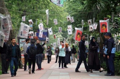 Ağaçlardan kitap topladılar