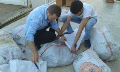 Alaşehir Belediyesi'nden Çevreci Proje