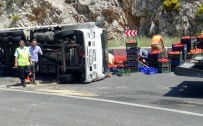 GÖKOVA - Domates Yüklü Kamyon Devrildi