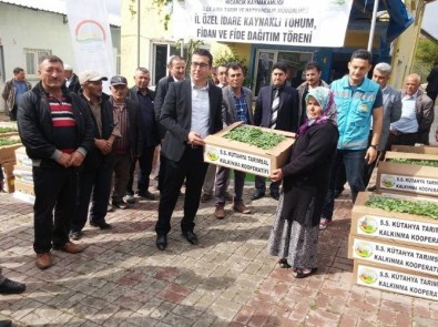 Hisarcık'ta 26 Çiftçiye Ada Çayı Fidesi Desteği