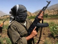 Şanlıurfa'da öldürülen teröristin kimliği belli oldu