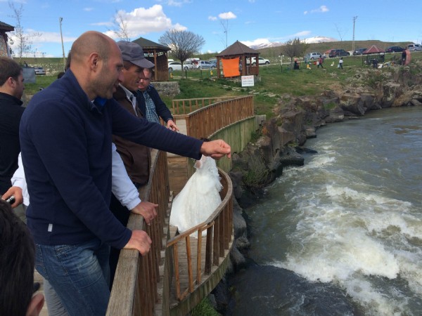 Balıkların görsel şöleni başladı