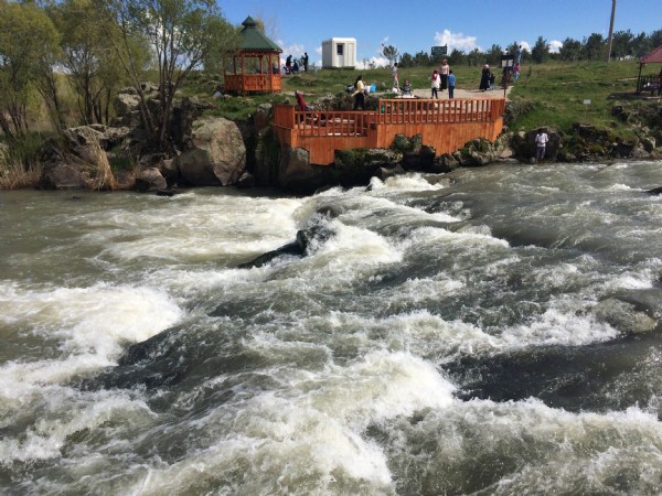 Balıkların görsel şöleni başladı