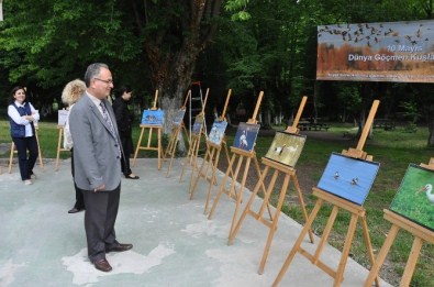Bartın'da Oryantiring Günü Etkinliği Düzenlendi