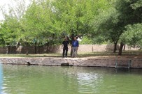 YARıMCA - Bu Da Gaziantep'in Balıklı Gölü