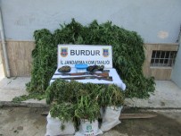 KOCAALILER - Bucak'ta Uyuşturucu Operasyonu
