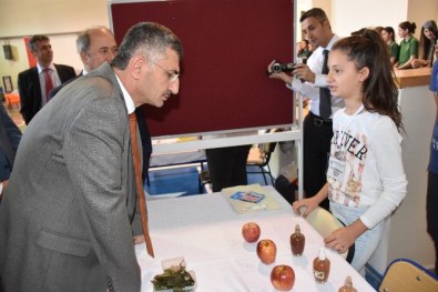Geleceğin Bilim İnsanları Projelerini Sergiledi