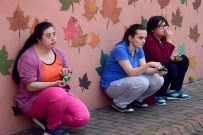 SÜT DAĞITIMI - Giresun'da Özel Çocuklara Fındık Hediyesi