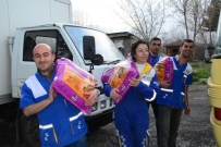 Haytap'tan 19 Farklı Noktaya 6,5 Ton Kedi Maması