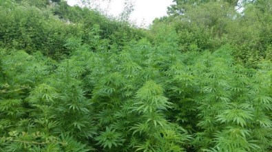 İzmir'de Uyuşturucu Tacirlerine Darbe