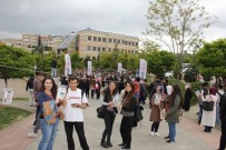 TÜRKAN ŞORAY - Kocaeli Üniversite'sine Kitap Baharı Geldi