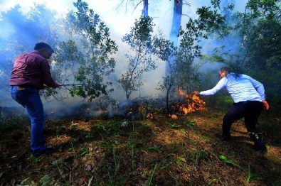 Muski Ekiplerinden Orman Yangınına İlk Müdahale