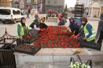 Yozgat Çiçeklere Bezeniyor