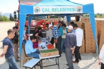 SEBZE ÜRETİMİ - Çal'da Üreticilere Fide Dağıtıldı