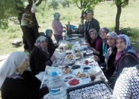 TERMAL TURİZM - Hisarcık'ta Kadın Kursiyerler Piknikte Buluştu