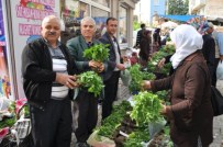 ORGANİK SEBZE - Organik Sebze Fideleri Pazarda