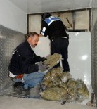 Piliç Kamyonetinden 35 Kilo Esrar Çıktı