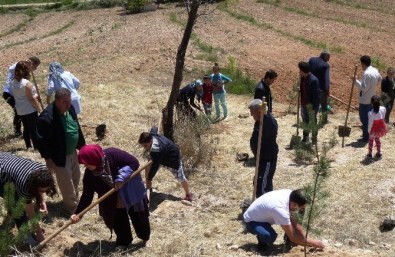 Sultansuyu'nda Anneler Günü Etkinliği