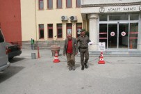 59 Yaşındaki Adamdan 2 Çocuğa Cinsel İstismar İddiası