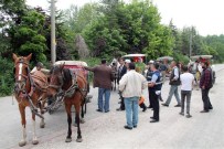 FAYTON - Atlar Ve Faytonlar Denetlendi