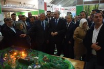 Düzce Tanıtım Gününde Görkemli Anlar Yaşandı