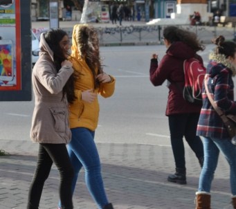 Lodos Bursa'da Etkisini Gösterdi