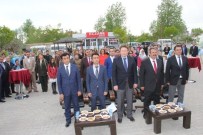 FERASET - Van'da Ebeler, Hemşireler Ve Anneler Günü Etkinliği