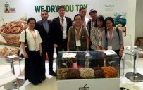 KURU KAYISI - Çinliler Kuru İnciri Sevdi