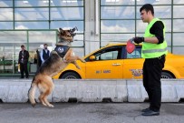 ODABAŞı - K-9 Köpekleri, AŞTİ'nin Göz Bebeği Oldu