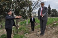 İSABEYLI - Nazilli Belediyesi'nin Hizmetleri Gece Gündüz Kesintisiz Devam Ediyor