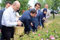 VAHDETTIN ÖZKAN - Bakan Gül Topladı