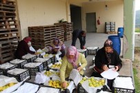 Bolu'nun Seben İlçesinden Asker Ve Polislerimize 16 Ton Elma Gönderildi Haberi