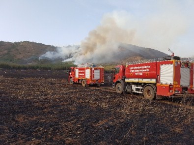 Buğday Tarlasında Çıkan Yangın Ormana Sıçradı