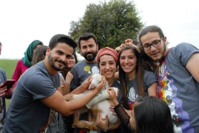 Burdur'da Keçi Projesi Başladı