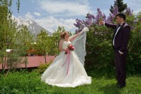 ÇANAKLı - Hakkari'de İlk Kır Düğünü