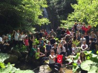 HARMANKAYA - Harmankaya Şelaleleri'ne Yürüyüş Düzenlendi