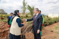 ORMAN ALANI - Şahinbey Gaziantep'i Yeşillendiriyor